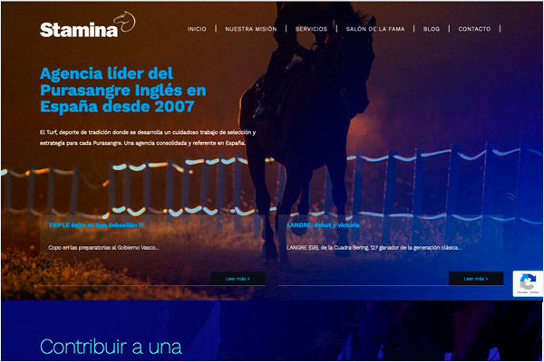 Stamina.es - Diseño Web:EstudioBase